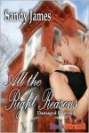 All The Right Reasons (Damaged Heroes, Book 3) - Sandy James