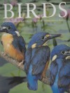 Encyclopedia Of Birds - 