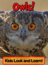 Owls! Learn About Owls and Enjoy Colorful Pictures - Look and Learn! (50+ Photos of Owls) - Becky Wolff