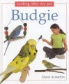 Budgie (Looking After My Pet) - David Alderton