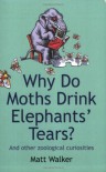 Why Do Moths Drink Elephants' Tears?: And Other Zoological Curiosities - MATT WALKER