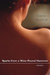 Sparks from a Nine-Pound Hammer: Poems (Southern Messenger Poets) - Steve Scafidi