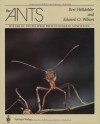The Ants - Bert Hölldobler, Edward O. Wilson