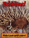 Echidnas! Learn About Echidnas and Enjoy Colorful Pictures - Look and Learn! (50+ Photos of Echidnas) - Becky Wolff