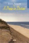 A Praia do Destino - Anita Shreve, Simão Sampaio