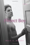 The Perfect Boy - Mark A. Roeder