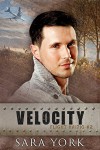 Velocity (Flight HA1710 Book 2) - Sara York