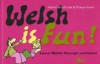 Welsh Is Fun! - Heini Gruffudd, Elwyn Ioan
