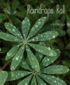 Raindrops Roll - April Pulley Sayre