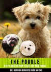 The Poodle: A vet's guide on how to care for your Poodle dog - Dr. Gordon Roberts BVSc MRCVS