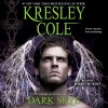 Dark Skye: Immortals After Dark, Book 15 - Kresley Cole, Robert Petkoff, Simon & Schuster Audio