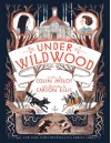 Under Wildwood: The Wildwood Chronicles, Book II - Colin Meloy, Carson Ellis