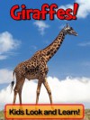 Giraffes! Learn About Giraffes and Enjoy Colorful Pictures - Look and Learn! (50+ Photos of Giraffes) - Becky Wolff