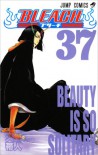 Bleach, Vol. 37: Beauty is so Solitary - Tite Kubo