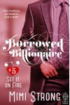 Set it on Fire (Borrowed Billionaire #5) - Mimi Strong