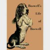 Boswell's Life of Boswell - Evelyn Leavens