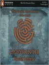 Labyrinth - Kate Mosse, Donada  Peters