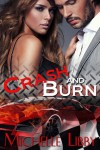 Crash and Burn - Michelle Libby