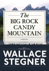 The Big Rock Candy Mountain (Playaway Adult Fiction) - 