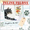 Feline Felons: Caught in the Act - Debbie Keller, Ariel Books, Diane Hobbing