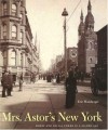 Mrs. Astor's New York: Money and Social Power in a Gilded Age - Eric Homberger