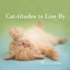 Cat-Titudes to Live by - Rachael Hale