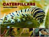 Caterpillars - Marilyn Singer