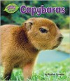 Capybaras - Rachel Lynette