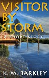 Visitor By Storm: A Short Story - K. M. Barkley