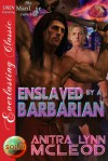 Enslaved by a Barbarian - Anitra Lynn McLeod