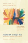 Wednesday Is Indigo Blue: Discovering the Brain of Synesthesia - Richard E. Cytowic, David Eagleman, Dmitri Nabokov