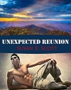 Unexpected Reunion - Susan E. Scott