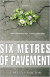 Six Metres of Pavement - 