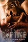 Captive  - Trista Ann Michaels