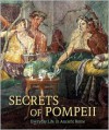 Secrets of Pompeii: Everyday Life in Ancient Rome - Emidio De Albentiis, Alfredo Foglia