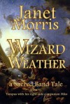 Wizard Weather - Janet E. Morris