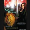 Magic Burns  - Ilona Andrews
