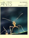 The Ants - Bert Hölldobler, Edward O. Wilson