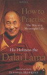 How To Practise: The Way to a Meaningful Life - Dalai Lama XIV