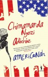 Americanah - Chimamanda Ngozi Adichie