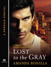 Lost to the Gray (Shaede Assassin, #2.5) - Amanda Bonilla