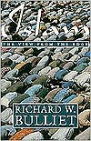 Islam: The View from the Edge - Richard W. Bulliet