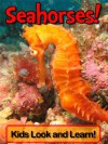 Seahorses! Learn About Seahorses and Enjoy Colorful Pictures - Look and Learn! (50+ Photos of Seahorses) - Becky Wolff