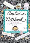 Amelia's Notebook - Marissa Moss