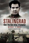 Stalingrad (Pen & Sword Military) - Michael K. Jones