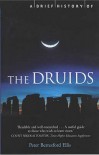 A Brief History of the Druids (Brief Histories) - Peter Berresford Ellis