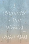 A Constellation of Vital Phenomena: A Novel - Anthony Marra