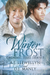 Winter Frost - A.J. Llewellyn, D.J. Manly