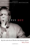 Gypsy Boy: My Life in the Secret World of the Romany Gypsies - Mikey Walsh