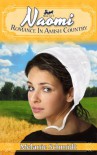 Naomi's Story: A Romance in Amish Country Story - Melanie Schmidt